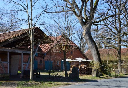 Historical Farm in Spring in the Village Altenboitzen, Lower Saxony