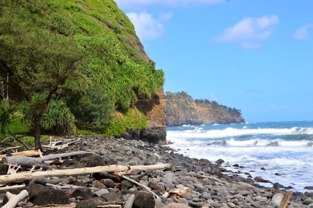 Photo for Panorama at the Pacific, Kohala Coast on Big Island, Hawaii - Royalty Free Image
