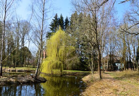 Teich im Frühling im Dorf Dueshorn, Walsrode, Niedersachsen