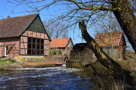 Historische Wassermühle im Frühling an der Böhme, Neumühlen, Niedersachsen
