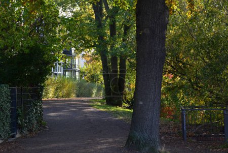 Herbst auf der Halbinsel Stralau in der Hauptstadt Berlin
