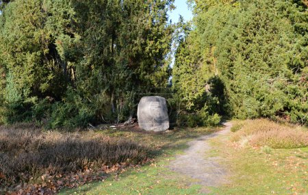 Grave in the Heath Tietlinger Heide, Walsrode, Lower Saxony