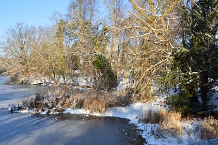 Paisaje en invierno en el lago Herthasee en el barrio Grunewald en Berlín, la capital de Alemania