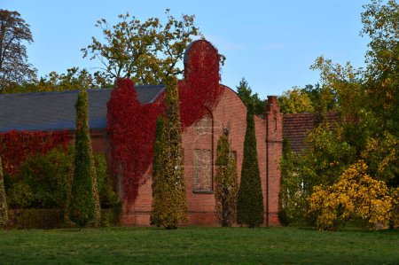 Herbst im Park Neuer Garten in der brandenburgischen Landeshauptstadt Potsdam