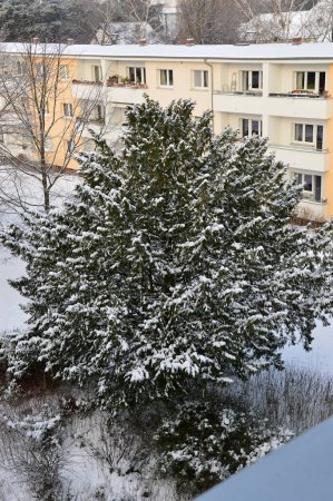 Invierno en el barrio de Schmargendorf en Berlín, la capital de Alemania