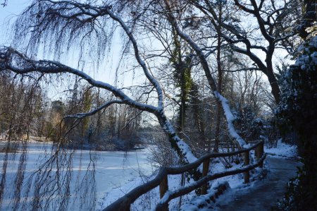 Krajobraz zimą nad jeziorem Herthasee w sąsiedztwie Grunewald w Berlinie, stolica Niemiec