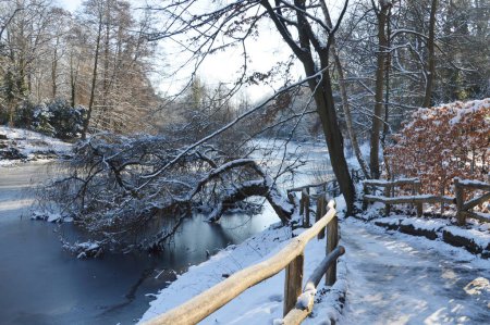 Landscape in Winter at Lake Herthasee in the Neighborhood Grunewald in Berlin, the Capital Cita of Germany