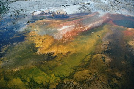 Hydrothermal Landscape in Yellowstone National Park, Wyoming