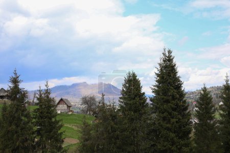 Photo for Eco trip with a beautiful view of the forests and mountains with green Christmas trees, forest paths and wooden fences and houses in the distance. for postcards, headpieces, flyers, advertisements for napkins, etc. - Royalty Free Image
