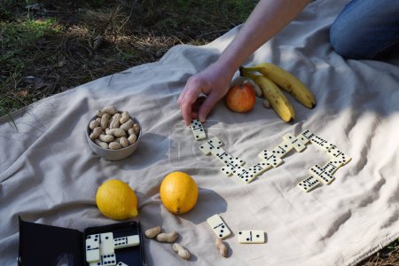 game of dominoes at a picnic. leisure. There is a domino on the picnic mat and nearby there are nuts, apples, water and bananas for a healthy snack.
