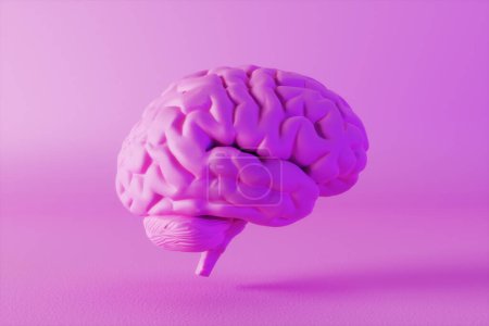 Téléchargez les photos : Rendu 3D d'une femme rose cerveau humain sur fond rose. Concept d'intuition et d'intelligence féminine et féminine en sciences médicales et neurologiques. - en image libre de droit
