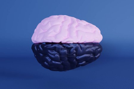 Foto de 3D renderizado de un cerebro con hemisferio cerebral oscuro y blanco. Concepto de neurociencia y trastorno bipolar en el tratamiento de neurología por psiquiatra - Imagen libre de derechos