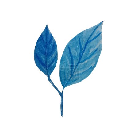 Watercolor designer elements set collection of green, blue leaves, greenery art foliage natural leaves herbs in watercolor style. Decorative beauty elegant illustration for design