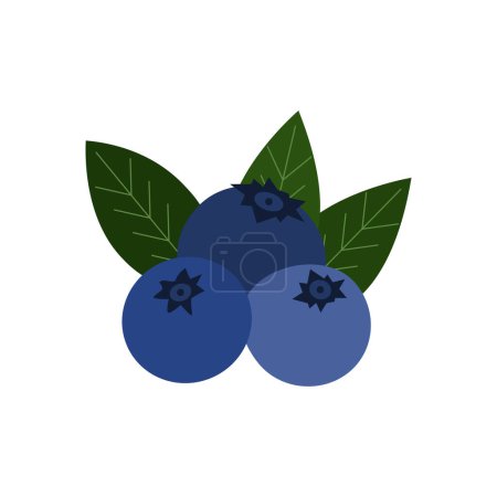 Vector blueberries with leaves isolated on white background.