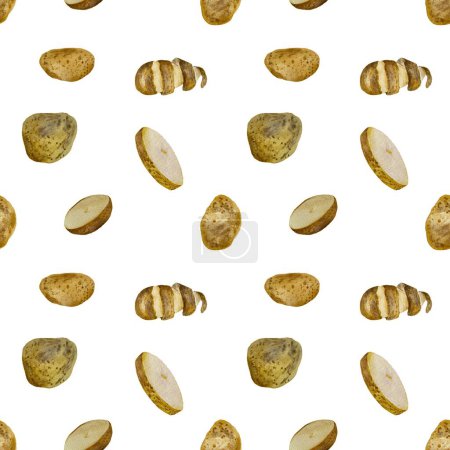 Photo for Potato whole cut half watercolor illustration pattern . Hand drawn texture. Isolated white background. For to use in design, fabrics, prints, textile, cards, invitations, banners, coupons, vouchers. - Royalty Free Image