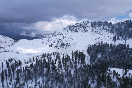 Photo for Winter Wonderland: Aerial View of Snow-Covered Himalayan Mountains and pine trees forest during winter in Malam Jabba Swat Khyber Pakhtunkhwa Pakistan - Royalty Free Image