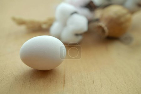 Photo for Egg, poppy and cotton on wooden surface. Easter. - Royalty Free Image