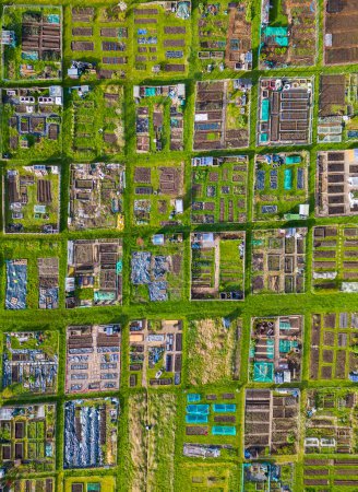 Luftaufnahme von Gemüsegärten, die bei Frühlingswetter ein geometrisches Muster bilden. Alwoodley Schrebergärten in Leeds, West Yorkshire, von oben gesehen. 