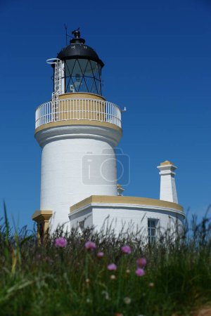 Téléchargez les photos : Portrait panoramique du phare de Chanonry Point près d'Inverness - en image libre de droit