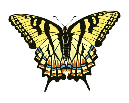 Illustration for Tropical elegant butterfly with colorful wings and antennae isolated on white background. Pretty flying moth top view. Gorgeous exotic spring insect. Colored flat vector illustration - Royalty Free Image