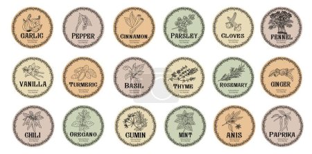 Illustration for Vector set of spices food labels with herbs sketches: pepper, basil, paprika, oregano, rosemary and other. Packaging and labeling template. Organic, natural flavor, eco friendly, kitchen herbs . - Royalty Free Image