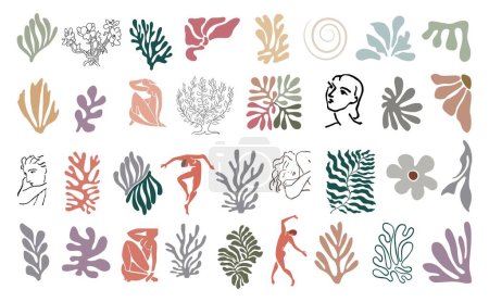 Téléchargez les illustrations : Ensemble de formes organiques abstraites, feuilles de jungle exotiques, silhouettes nues féminines, algues dans un style tendance inspiré de Matisse. Illustration vectorielle d'art contemporain sur fond transparent. - en licence libre de droit
