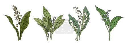 Illustration for Lily of The Valley May birth flower colorful vector illustration isolated on white background. Modern minimalist design for logo, tattoo, wall art, poster, greeting and invitation cards, stickers. - Royalty Free Image