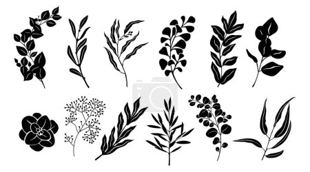 Ensemble de silhouettes noires de feuilles et de branches d'eucalyptus. Illustrations vectorielles de contour noir isolées sur fond blanc. Eléments de verdure tendance pour logo, tatouage, invitations, autocollants.