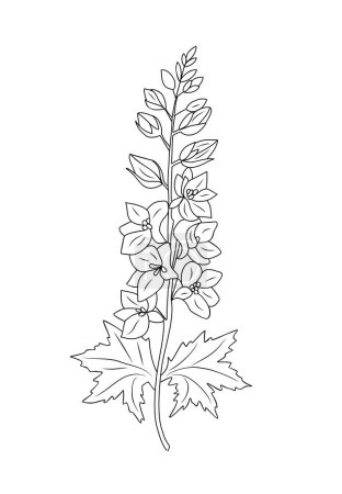 Illustration for Larkspur flower line art vector illustration isolated. Delphinium Hand drawn botanical black sketch. July birth month flower for wall art, jewelry, tattoo, logo, packaging design, wedding invitation. - Royalty Free Image