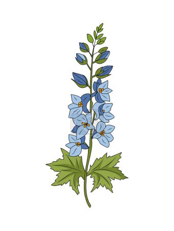 Illustration for Larkspur flower colored vector illustration isolated. Delphinium Hand drawn botanical outline sketch. July birth month flower for wall art, jewelry, tattoo, logo, packaging design, wedding invitation. - Royalty Free Image