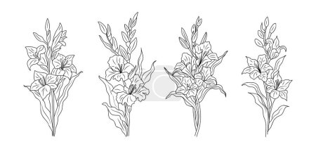 Ilustración de Conjunto de dibujos de arte de la línea de flores Gladiolus. Agosto nacimiento mes flor. Ilustraciones vectoriales dibujadas a mano en tinta negra aisladas sobre fondo blanco. Perfecto para tatuaje, joyería, diseño de arte de pared. - Imagen libre de derechos