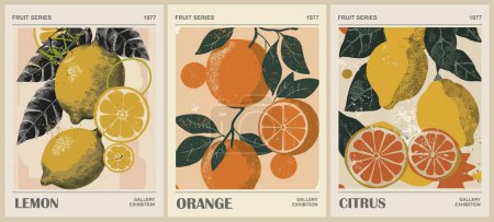 Set of Abstract Fruit Market retro posters. Trendy contemporary wall arts with lemon, orange citrus fruits design. Modern naive groovy funky interior decorations, paintings. Vector illustrations.