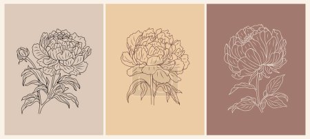Illustration for Set of botanical line art drawings of Peony, November birth month flowers. Vector sketch, outline drawings isolated on terracotta colors backgrounds. Card, poster template. - Royalty Free Image
