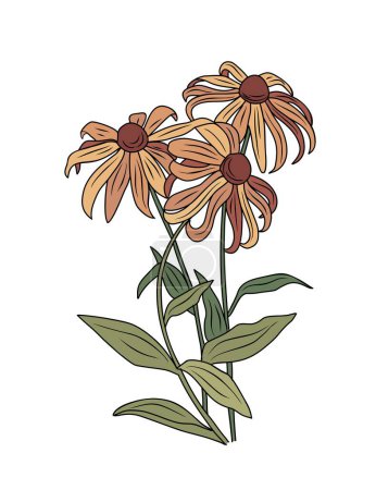 Black-eyed Susan flowers with leaves colored outline drawing vector botanical illustration isolated on white background. Rudbeckia flower design for logo, tattoo, wall art, branding, packaging.