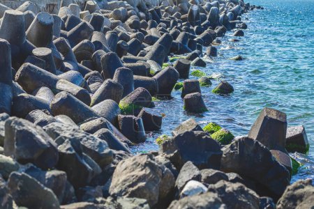 Breakwater in the sea. Coastal defense barrier made of concrete tetrapod breakers covered in green moss