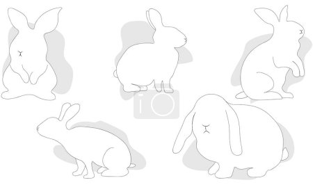 Illustration for Rabbits in different poses. Vector illustration for coloring book. - Royalty Free Image