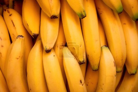 Foto de Una textura de fondo de plátanos enteros con espacio para copiar - Imagen libre de derechos