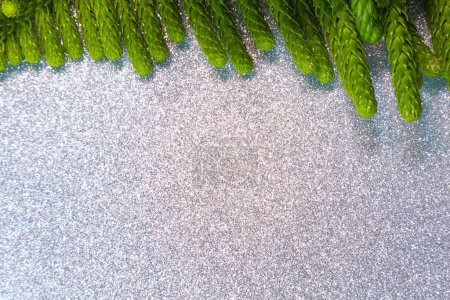 Foto de Hojas de pino navideño con espacio para texto y fondo brillante - Imagen libre de derechos