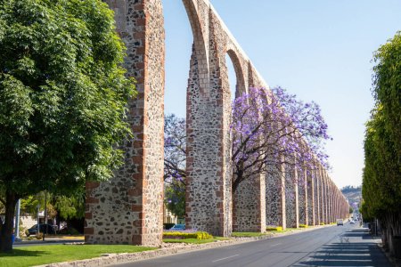 Téléchargez les photos : Un aqueduc Queretaro Mexico avec jacaranda et fleurs violettes - en image libre de droit