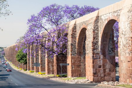 Foto de Acueducto Querétaro México con jacaranda y flores moradas - Imagen libre de derechos