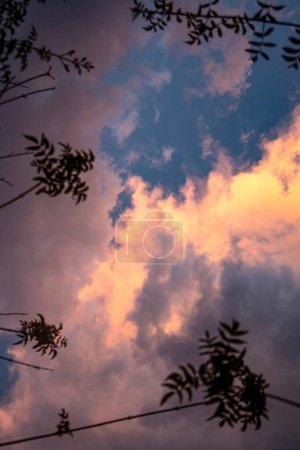 Foto de El cielo es naranja y el cielo es naranja - Imagen libre de derechos