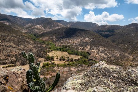 Photo for A view of the semi-desert mountains from high up in Mexico. - Royalty Free Image