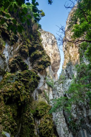 Foto de Viaje a través de diversos paisajes de Tolantongo: majestuosas montañas, exuberantes bosques, antiguas formaciones rocosas. Una cautivadora aventura en Hidalgo maravilla natural - Imagen libre de derechos