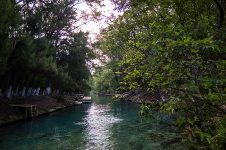 Foto de Descubra el encantador paisaje de Media Luna, con un lago sereno, exuberantes bosques y tranquilas vías fluviales - Imagen libre de derechos