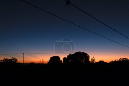 A Beautiful sunset with shade of trees and electricity cables.