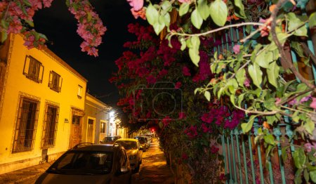 Eine Nachtpostkarte der Stadt Queretaro in Mexiko, mit ihren Straßen mit Bougainvillea-Blumen