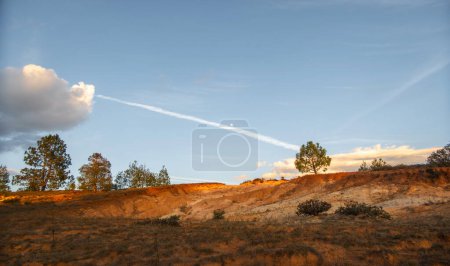 A Landscape with pine trees and dunes in Mexico with moon in the sky and space for text