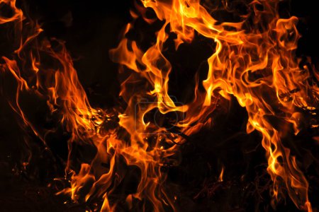 Photo for A Intense fire with black background, with space for text - Royalty Free Image