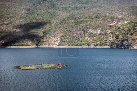 A Julas fish farming in Lake Mexico, with space for text