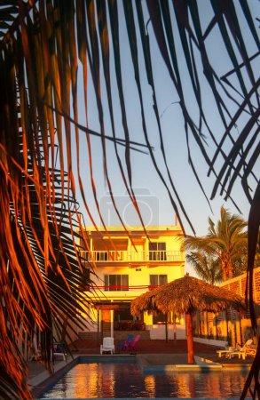 Ein Hotel am Strand, umgeben von Palmen, mit Pool und Ruhebereich